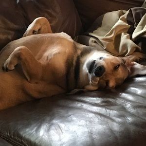 Meet your Posher, Joseph